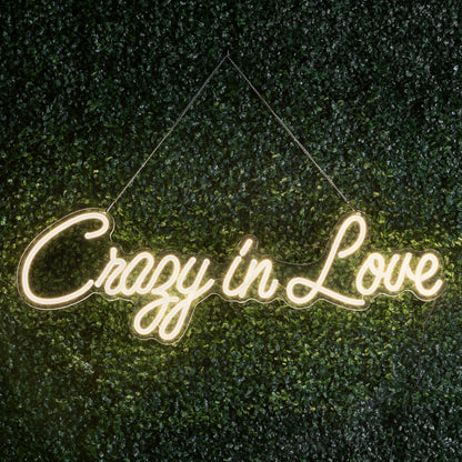 Crazy In Love Led Neon Light Sign | Shineneon