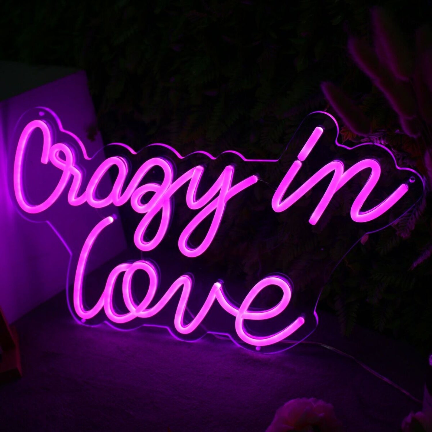 Crazy In Love Led Neon Sign | Shineneon