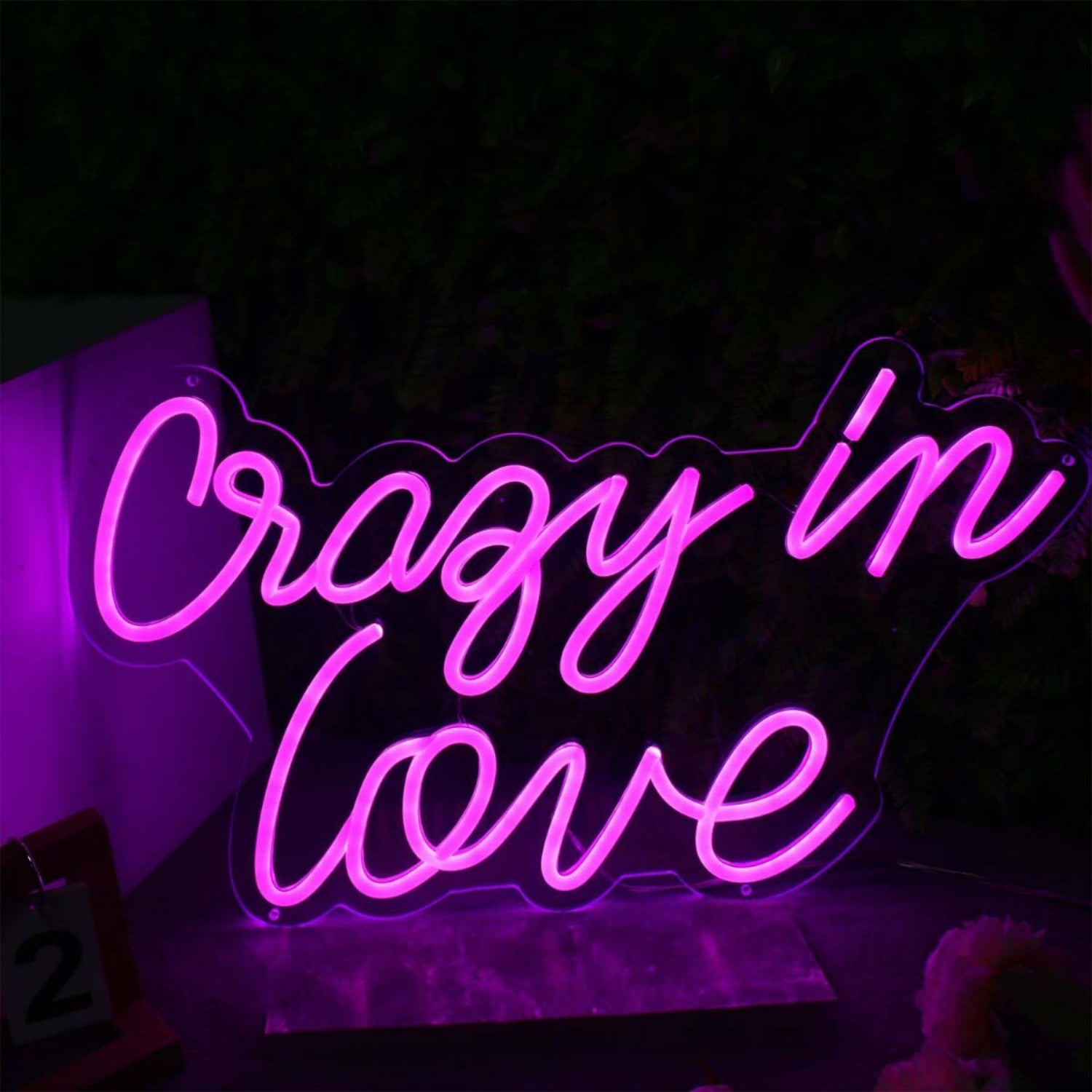 Crazy In Love Led Neon Sign | Shineneon