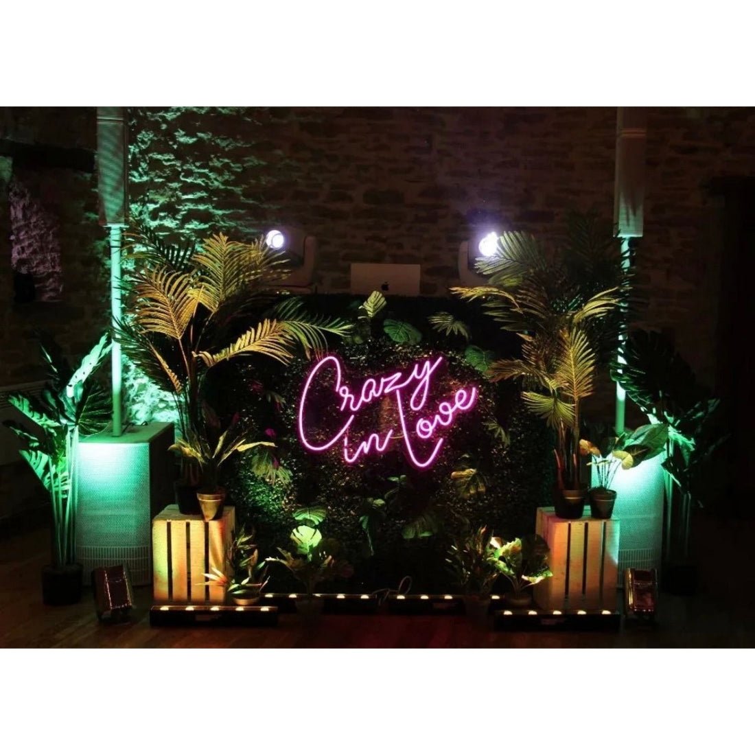 Crazy In Love Led Sign Business Neon Signs - Shineneon