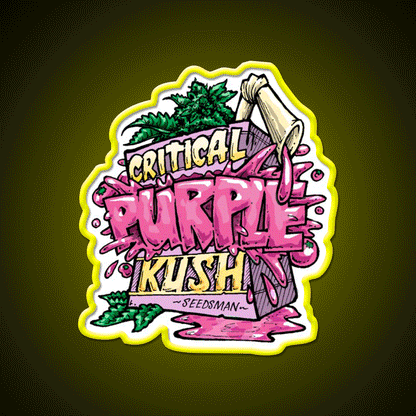 Critical Purple Kush Artwork Hemp Inspired Green Leaf Led Neon Sign Rgb Color - Custom LED neon sign front view