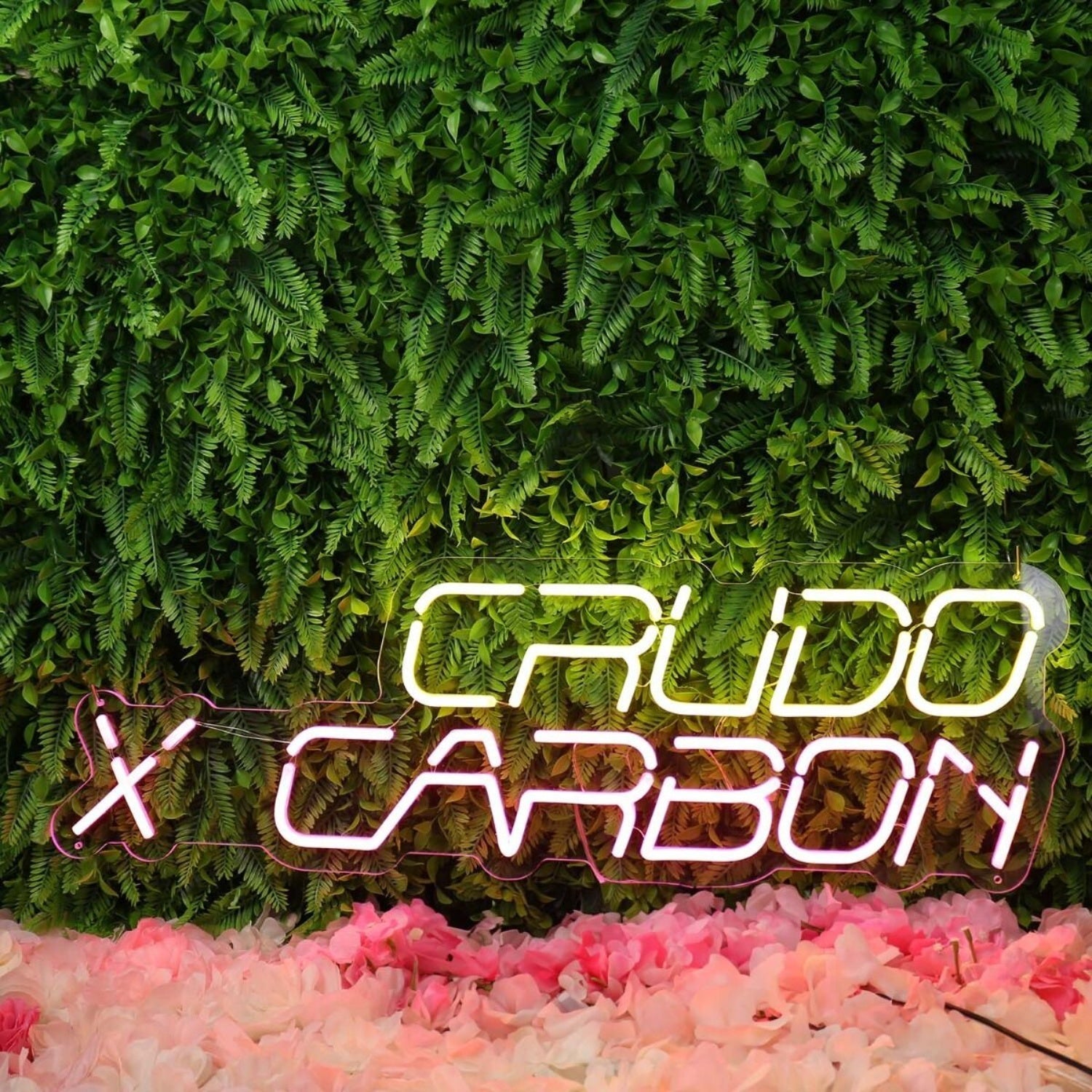 Crudo Carbon Custom Led Neon Sign - Shineneon