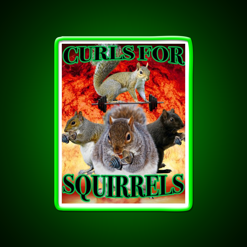 Curls For Squirrels Gym Fitness Led Neon Sign Rgb Color - LED neon sign view 8