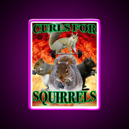 Curls For Squirrels Gym Fitness Led Neon Sign Rgb Color - Neon sign mounted on wall in room