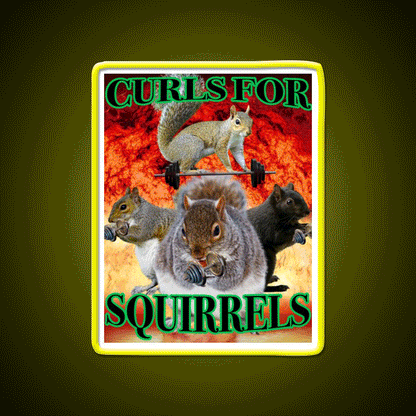 Curls For Squirrels Gym Fitness Led Neon Sign Rgb Color - Custom LED neon sign front view