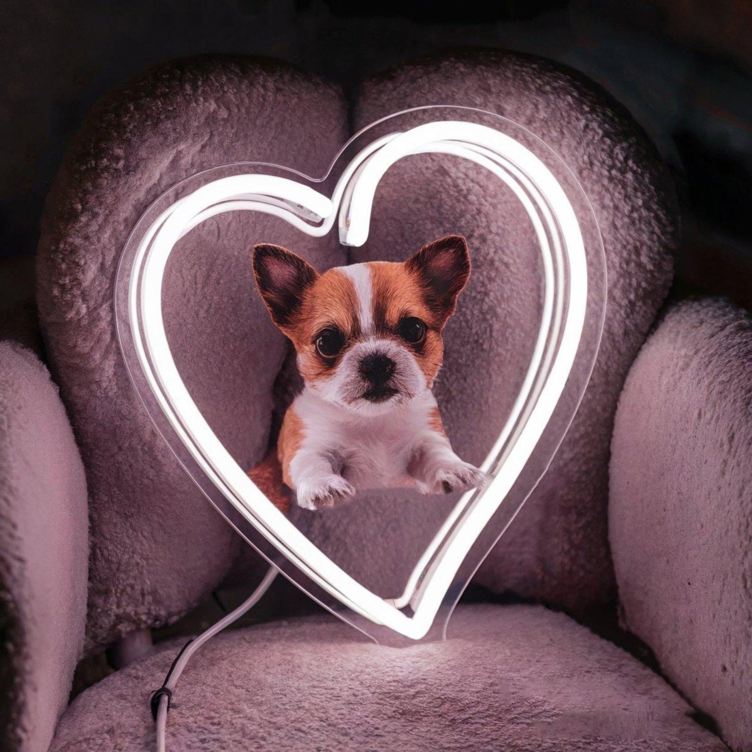 Custom Dog Heart White Led Neon Sign For Pet Lover Home Decor | Shineneon