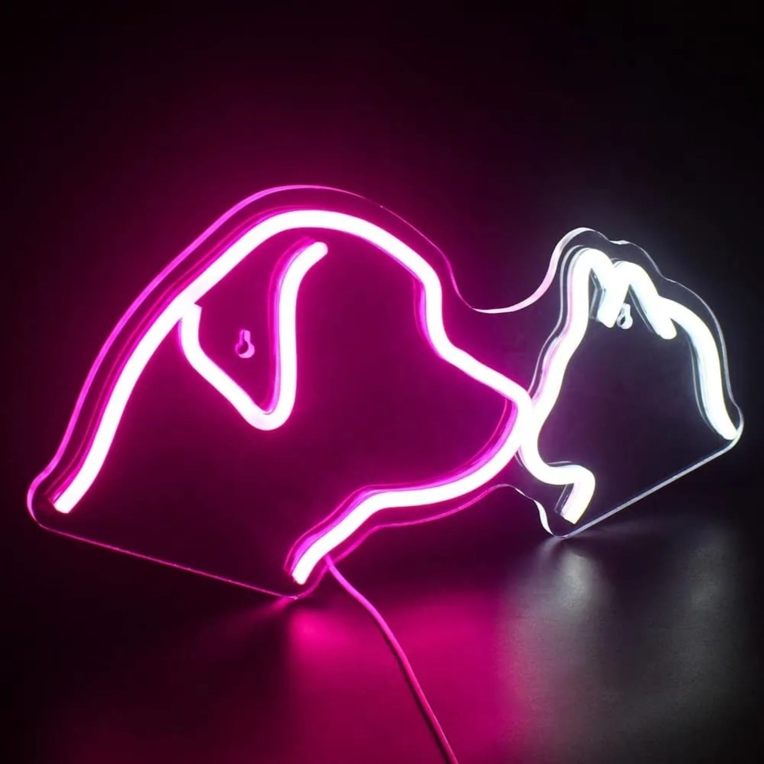 Cute Pet Cat And Dog Led Neon Sign For Pets House | Shineneon