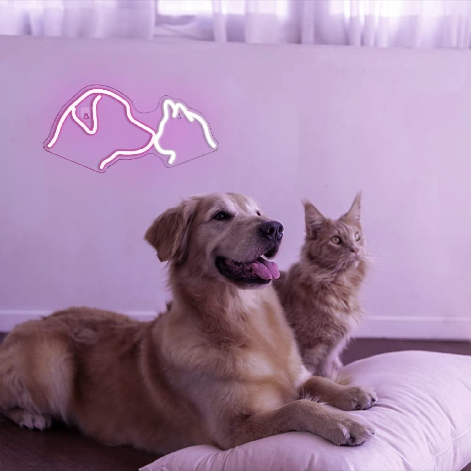 Cute Pet Cat And Dog Led Neon Sign For Pets House | Shineneon