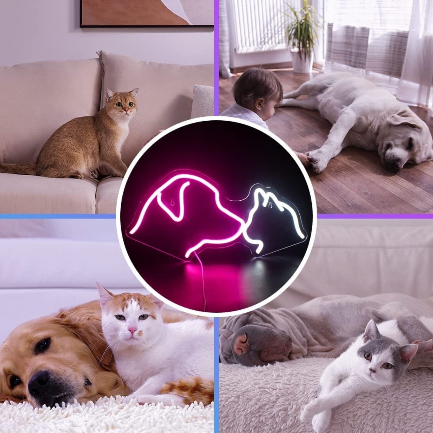 Cute Pet Cat And Dog Led Neon Sign For Pets House | Shineneon