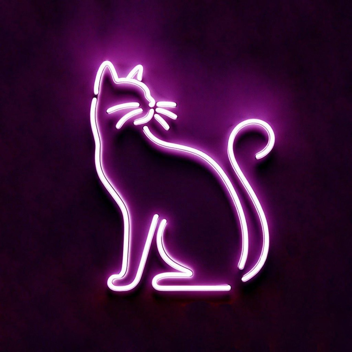 Cute Pink Sitting Cat Led Neon Sign For Bedroom Cafe Pet Shop Decor | Shineneon