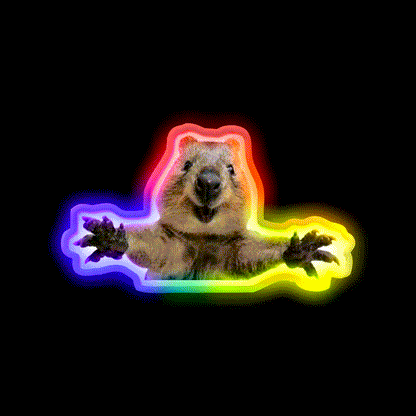Cute Quokka Hug Welcome Led Neon Sign Open Sign Rgb Color - LED neon sign close-up detail