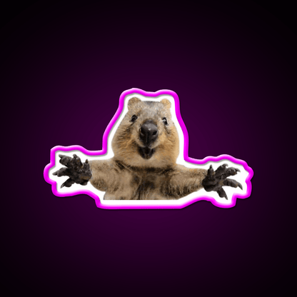 Cute Quokka Hug Welcome Led Neon Sign Open Sign Rgb Color - Shineneon