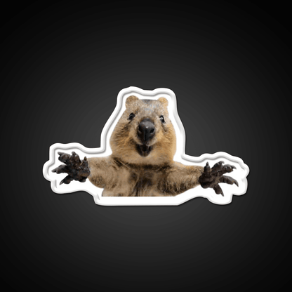 Cute Quokka Hug Welcome Led Neon Sign Open Sign Rgb Color - Shineneon