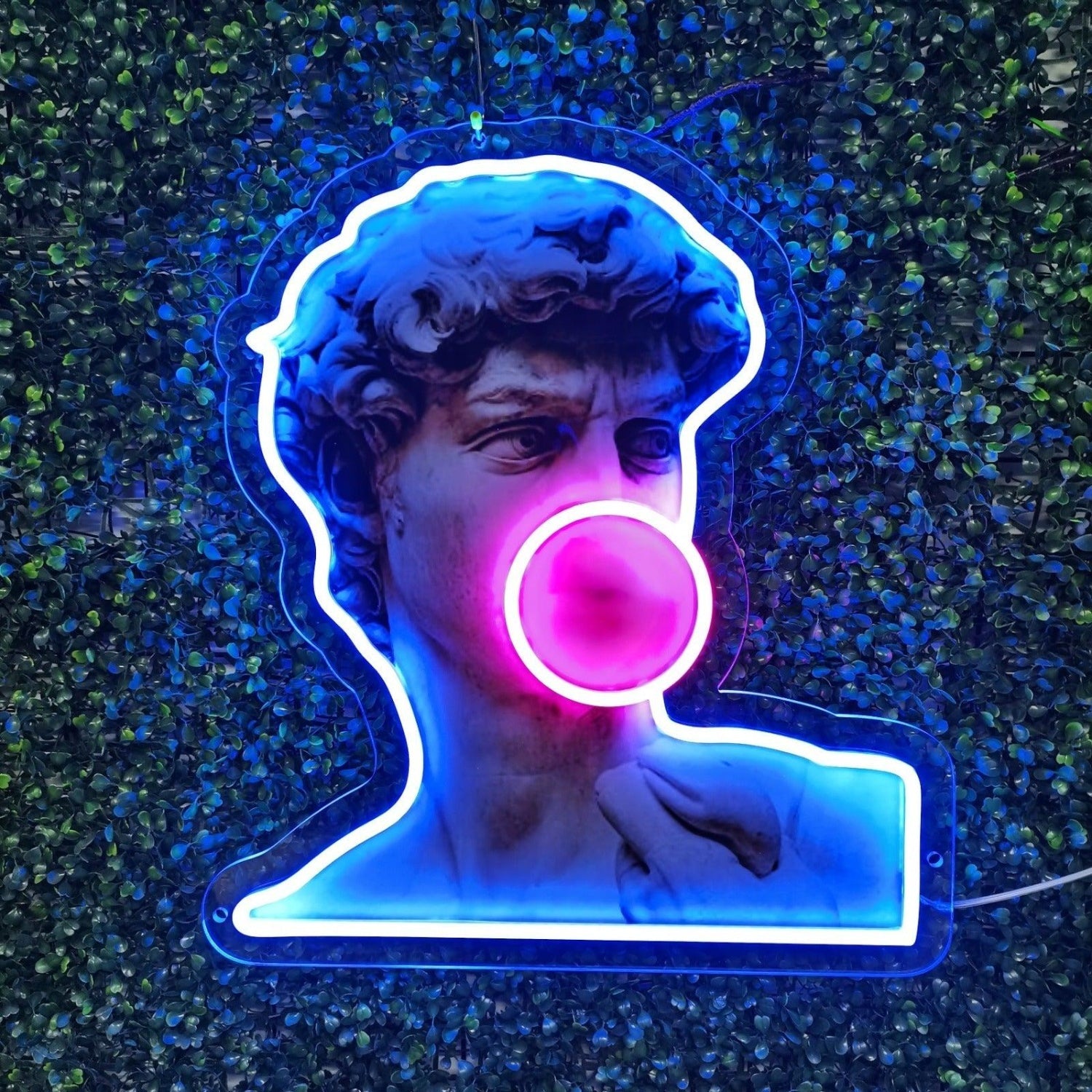 David Blowing Bubble Blue Pink Led Neon Sign For Cafe Bar Art Decor | Shineneon