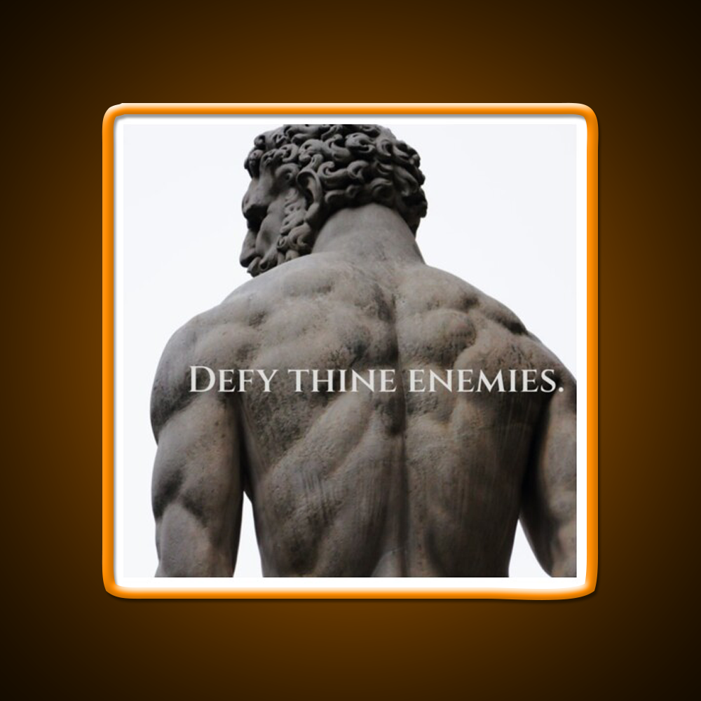 Defy Thine Enemies Gym Fitness Led Neon Sign Rgb Color - LED neon sign view 6