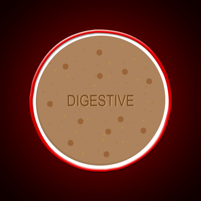 Digestive Biscuit Snack Food Led Neon Sign Rgb Color - Shineneon
