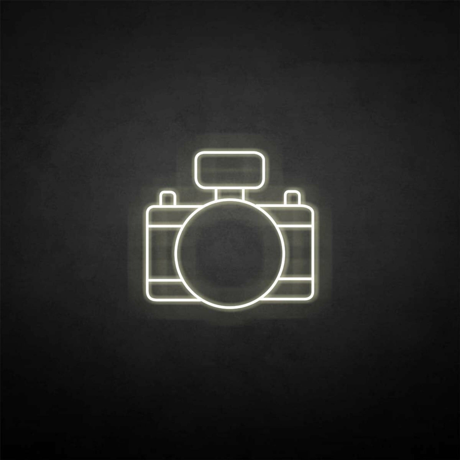 Digital Camera Led Neon Sign - Shineneon