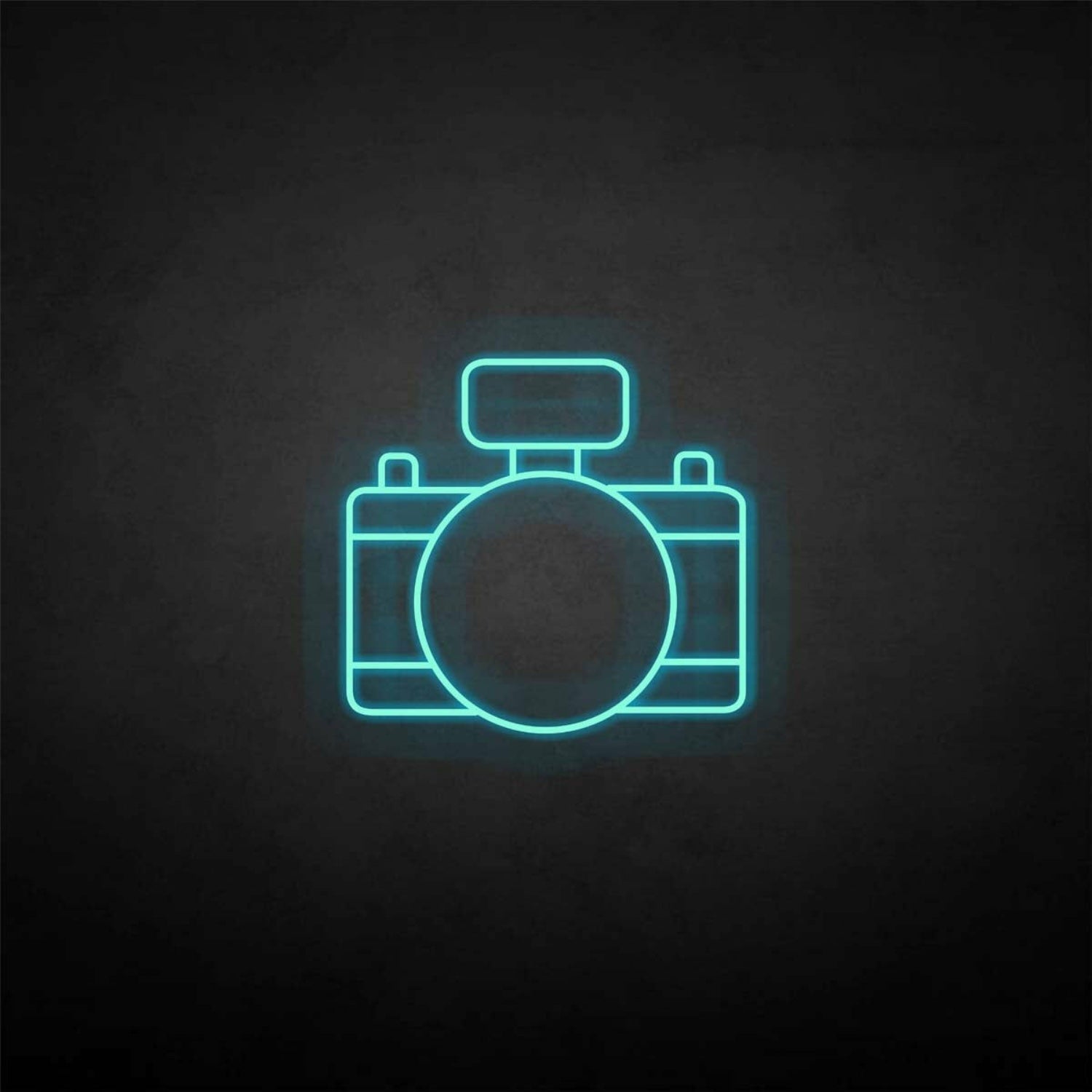 Digital Camera Led Neon Sign - Shineneon