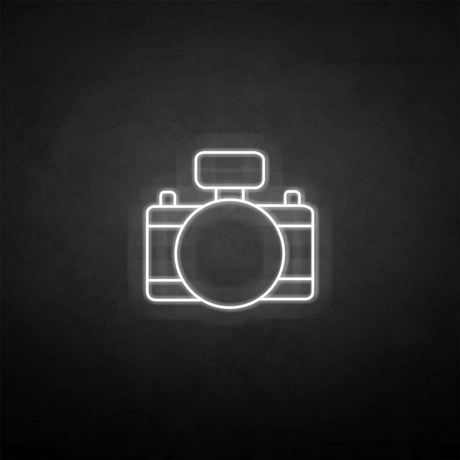 Digital Camera Led Neon Sign - Shineneon
