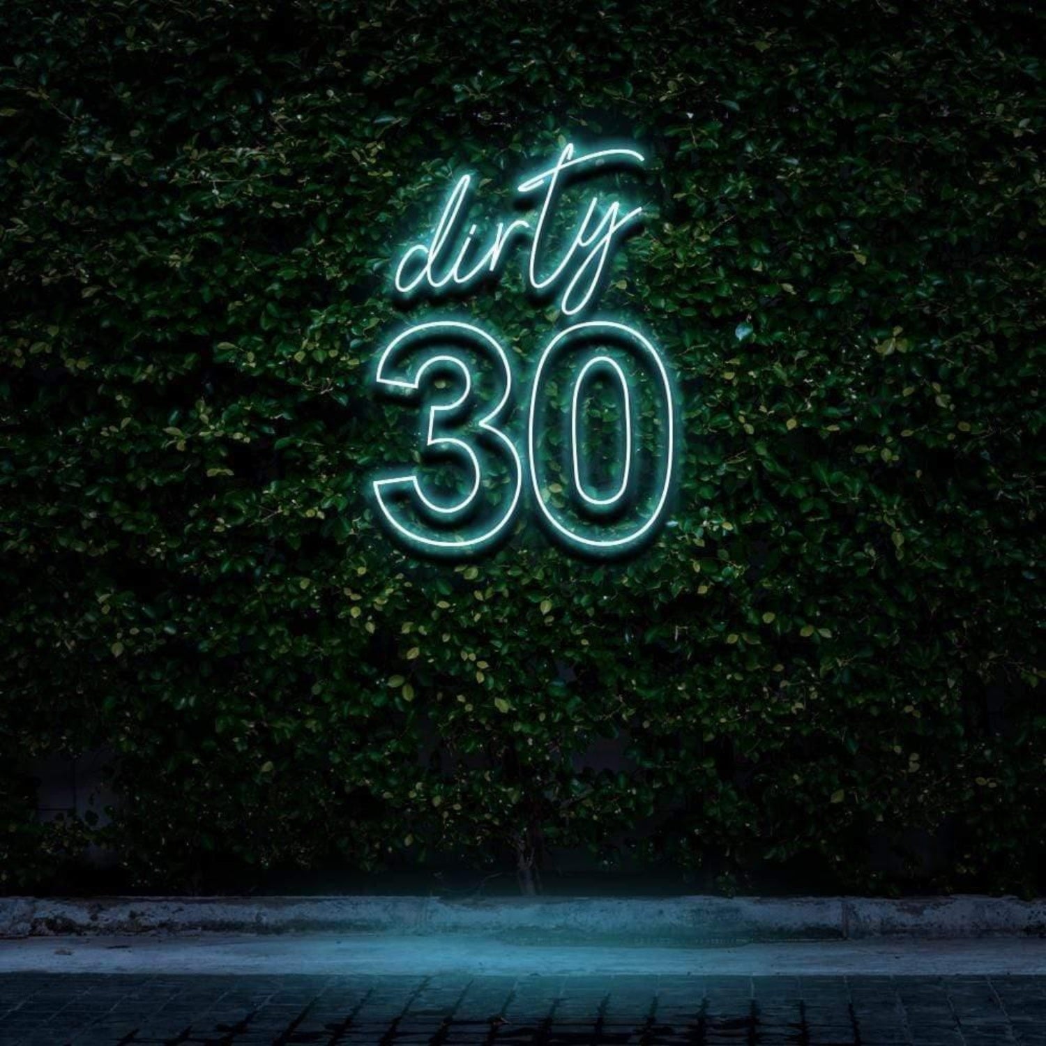 Dirty 30 Pink Led Neon Sign For Birthday Party With Green Wall Background | Shineneon