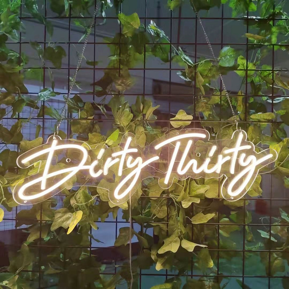 Dirty Thirty Birthday Neon Led Business Sign