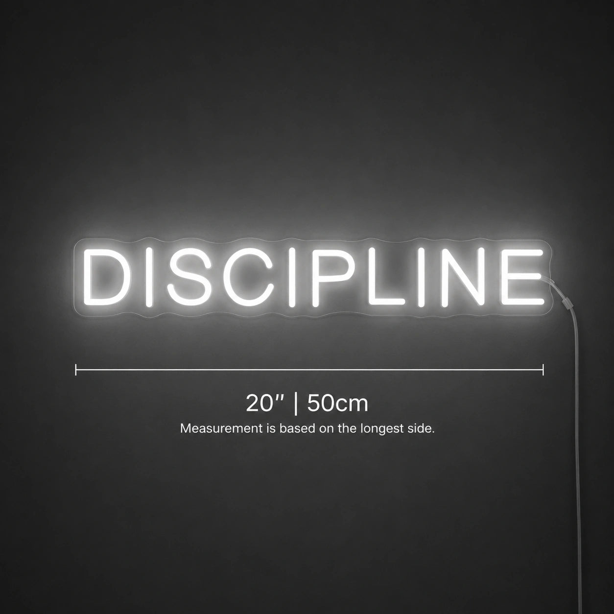 Discipline Neon Sign LED Neon Sign size image