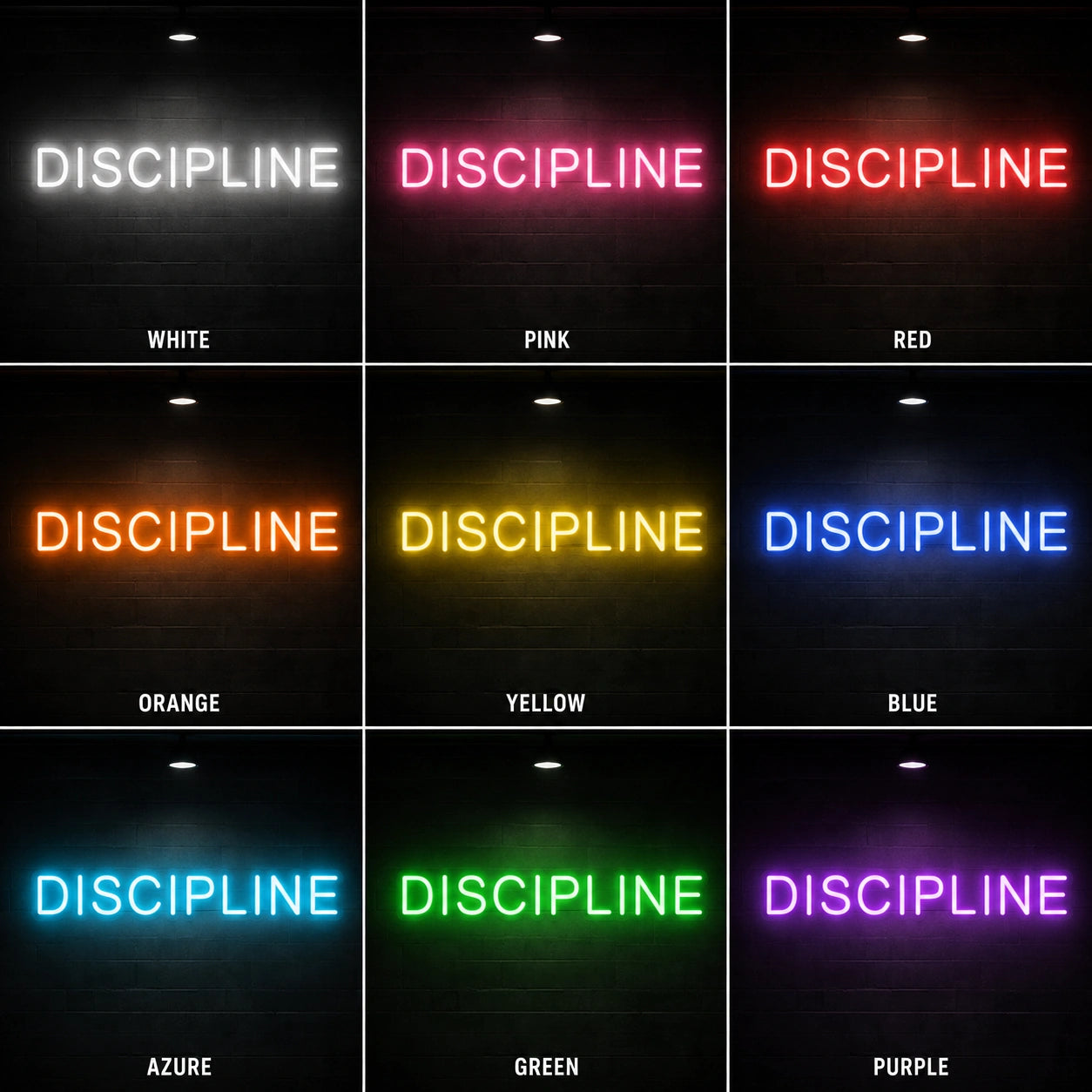 Discipline Neon Sign LED Neon Sign color grid