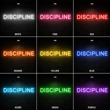 Discipline Neon Sign LED Neon Sign color grid