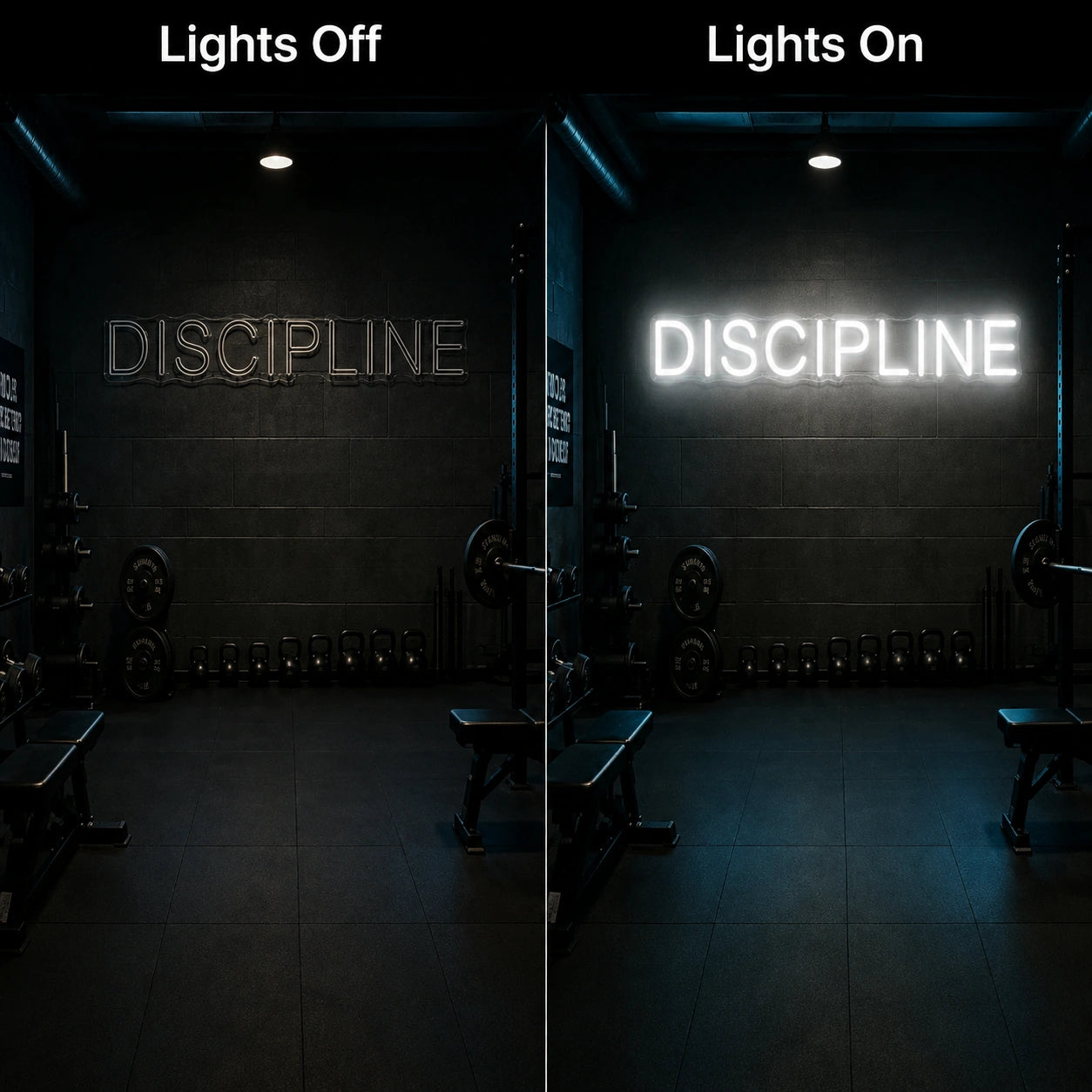 Discipline Neon Sign LED Neon Sign day and night comparison