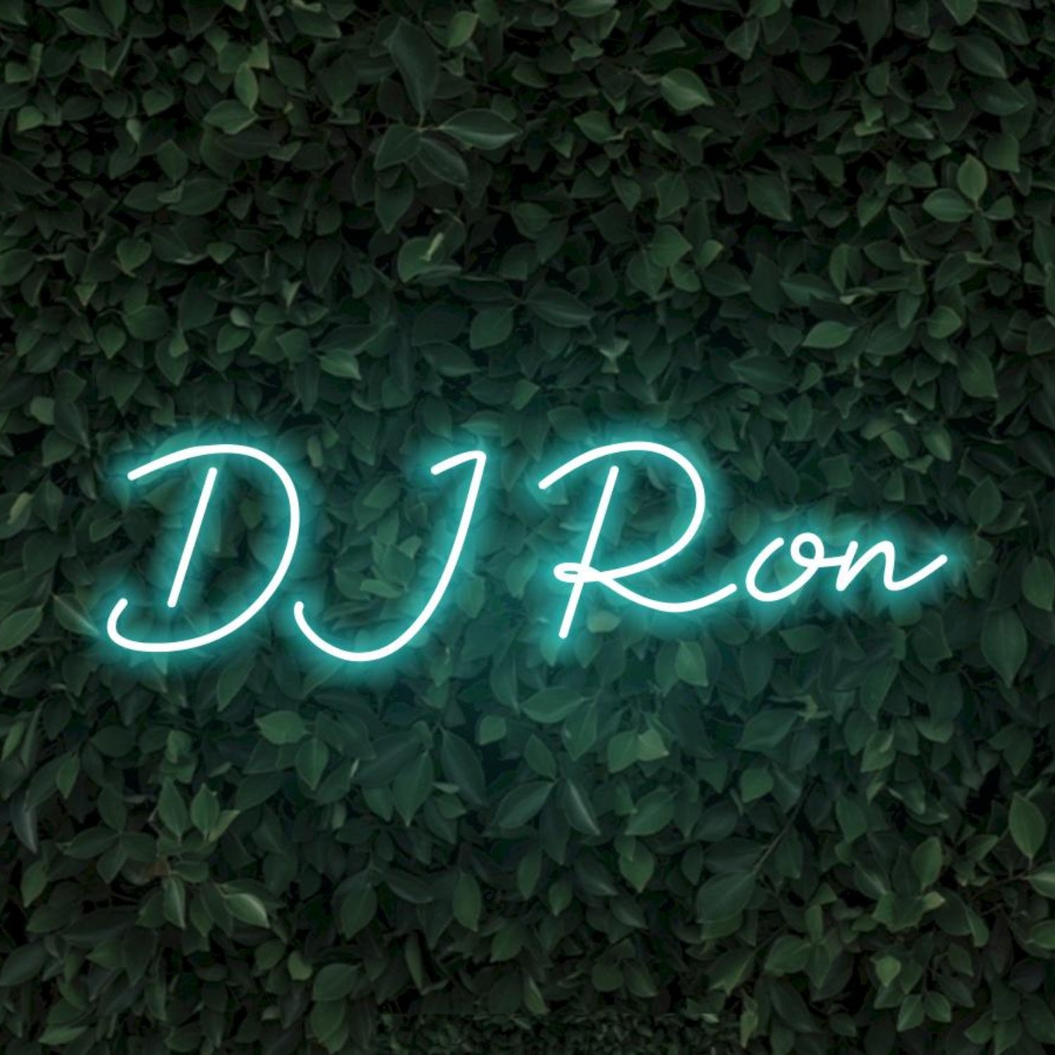 Dj Ron Bright Green Custom Led Neon Sign For Nightclub Bar Party Decor | Shineneon