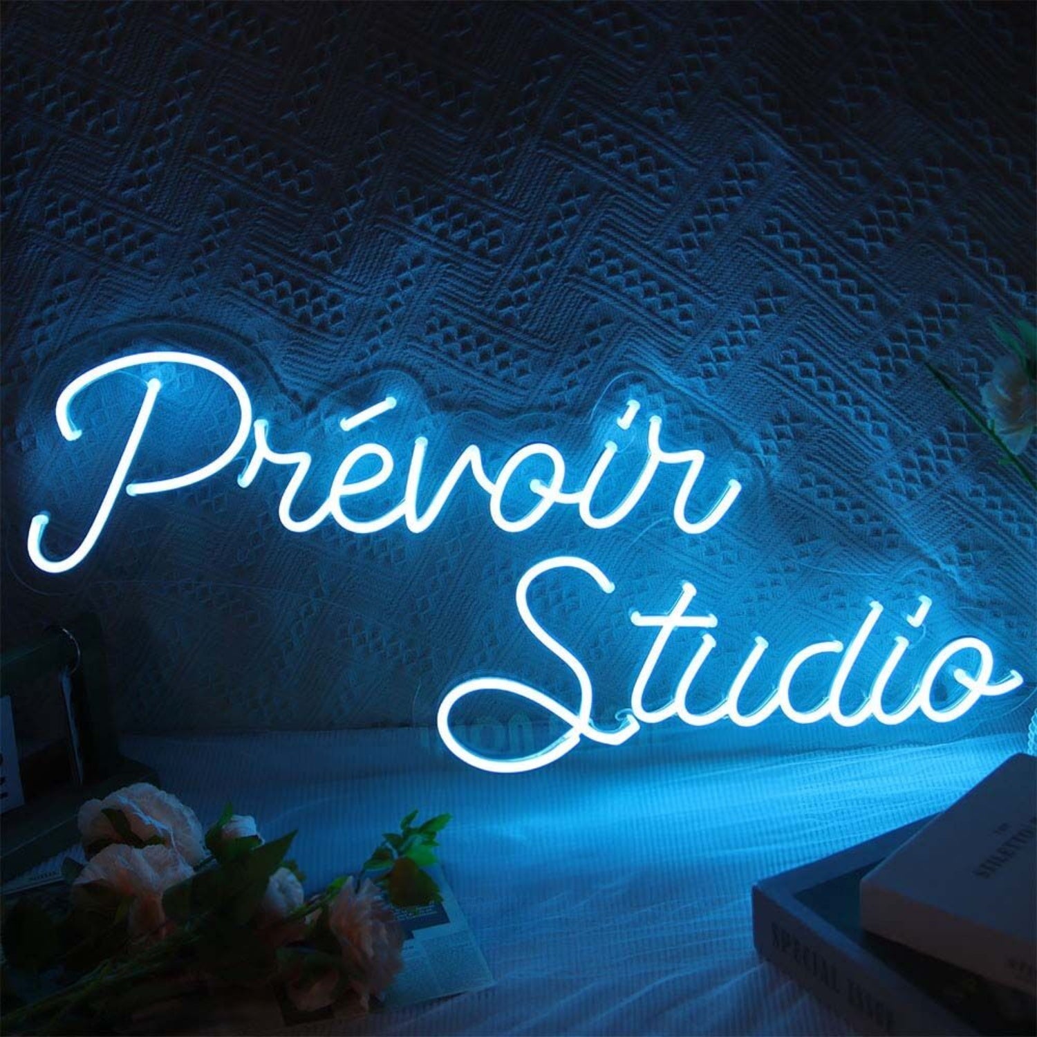 Dnevoin Studio Led Neon Sign - Shineneon