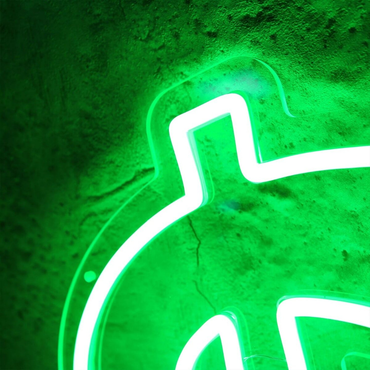 Dollar Sign Green Led Neon Sign | Shineneon
