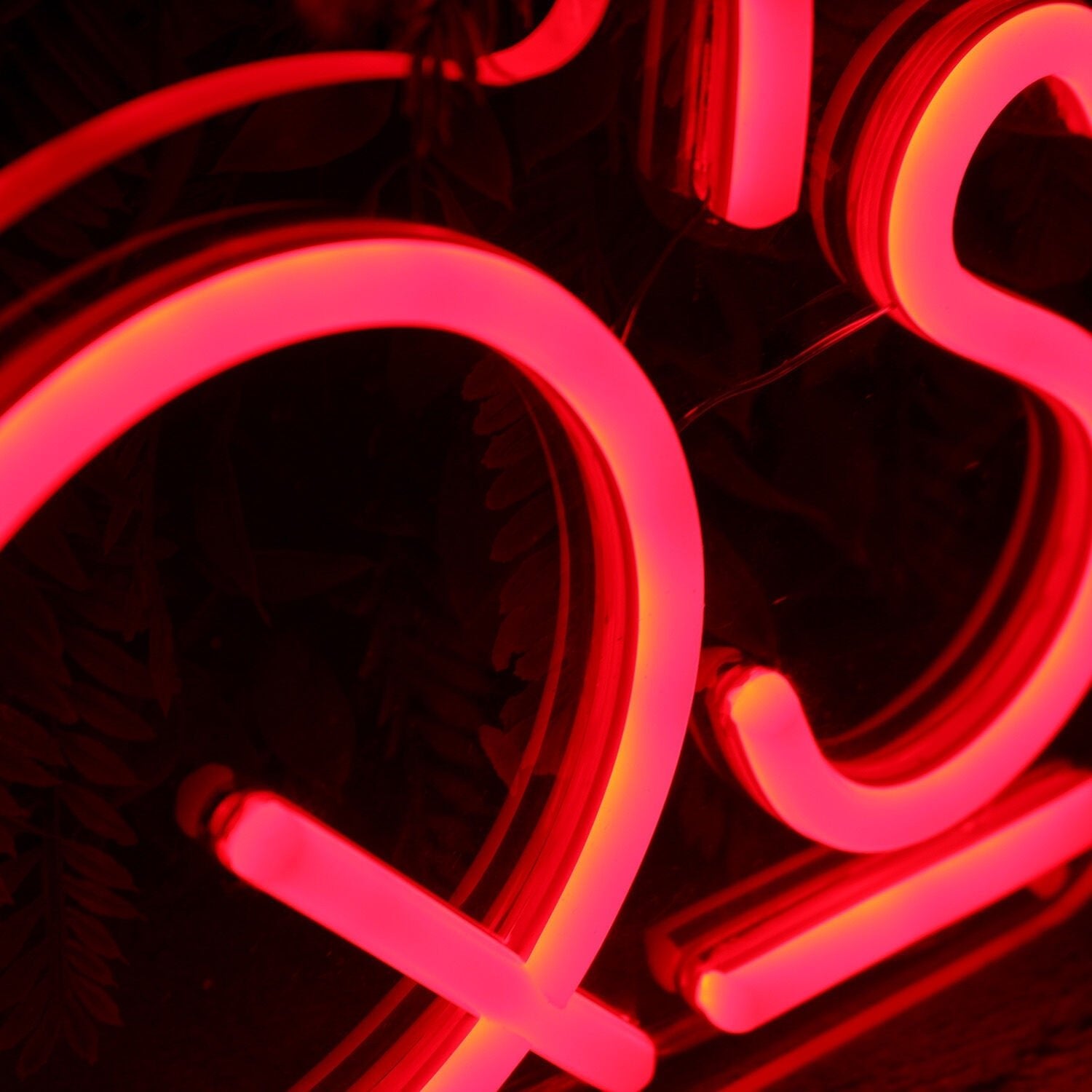 Don Qs Orange Led Neon Sign - Shineneon