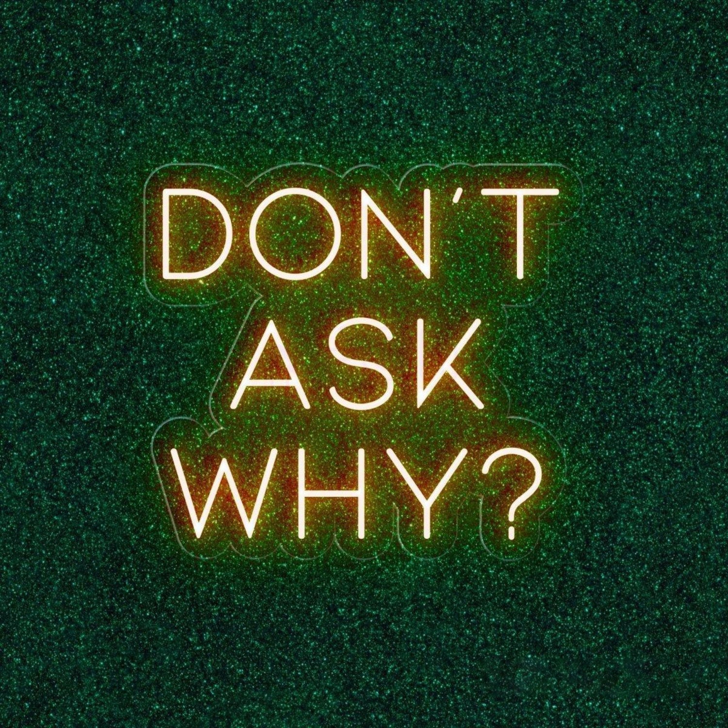 Dont Ask Why Red Led Neon Sign For Mysterious Bar Party Decor | Shineneon