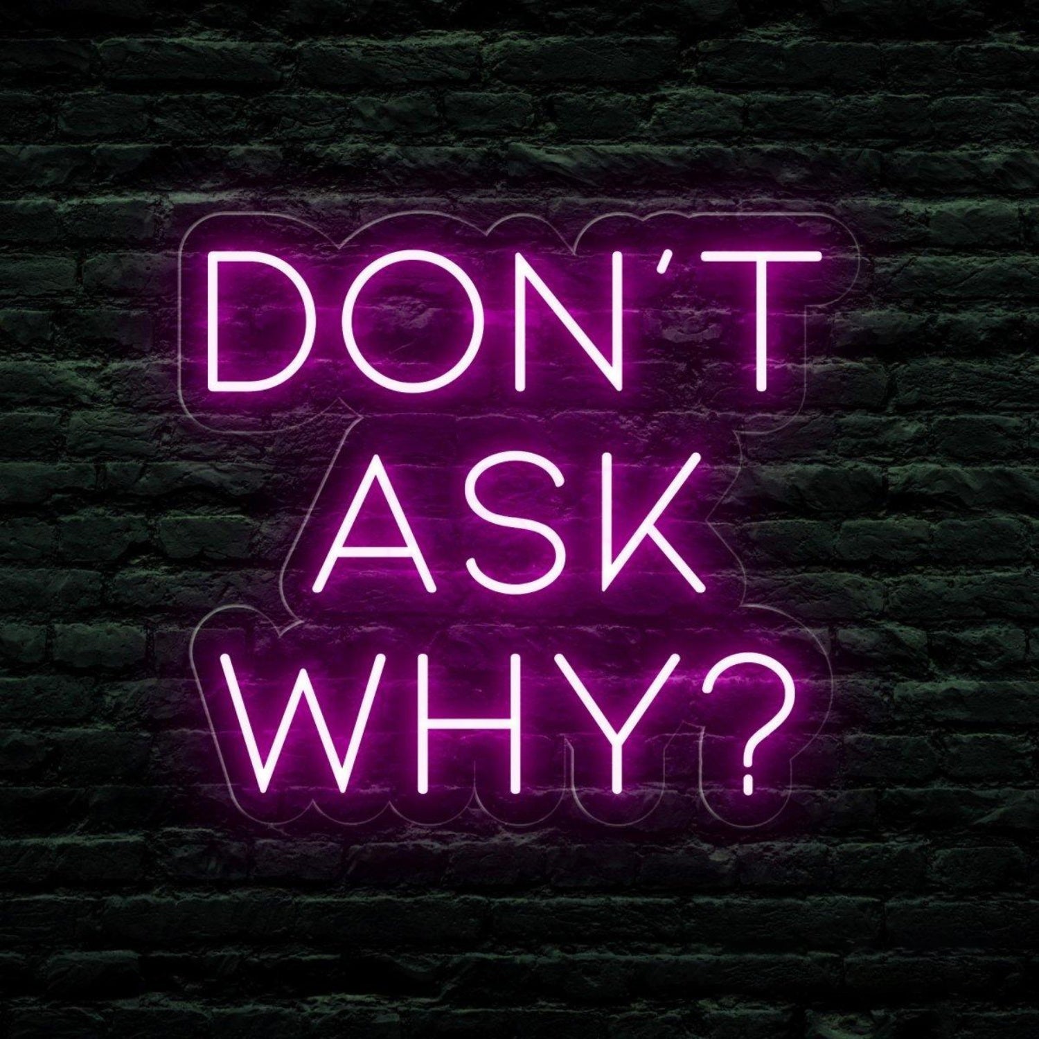 Dont Ask Why Red Led Neon Sign For Mysterious Bar Party Decor | Shineneon