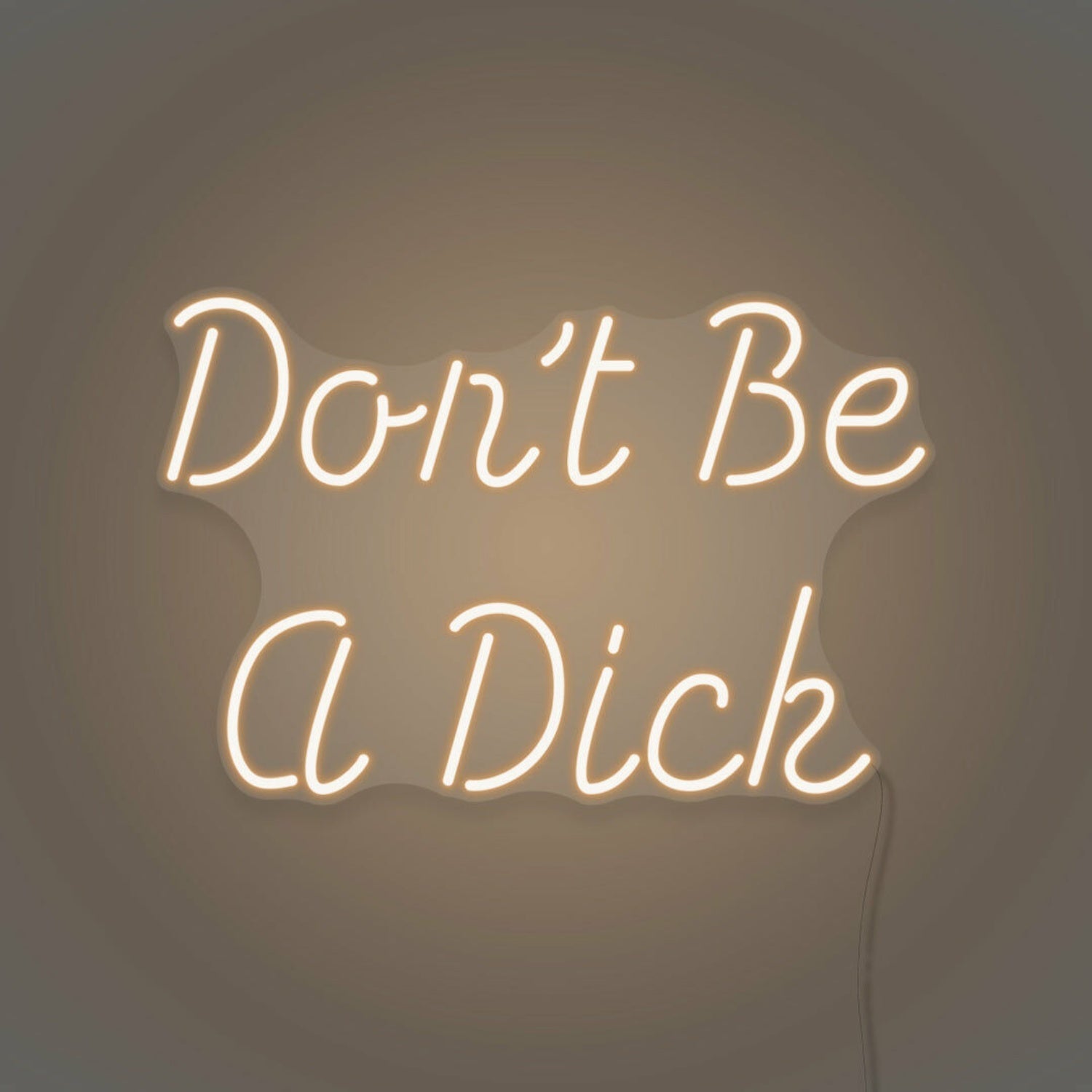 Dont Be A Dick Neon Humor And Straight Talk - Shineneon