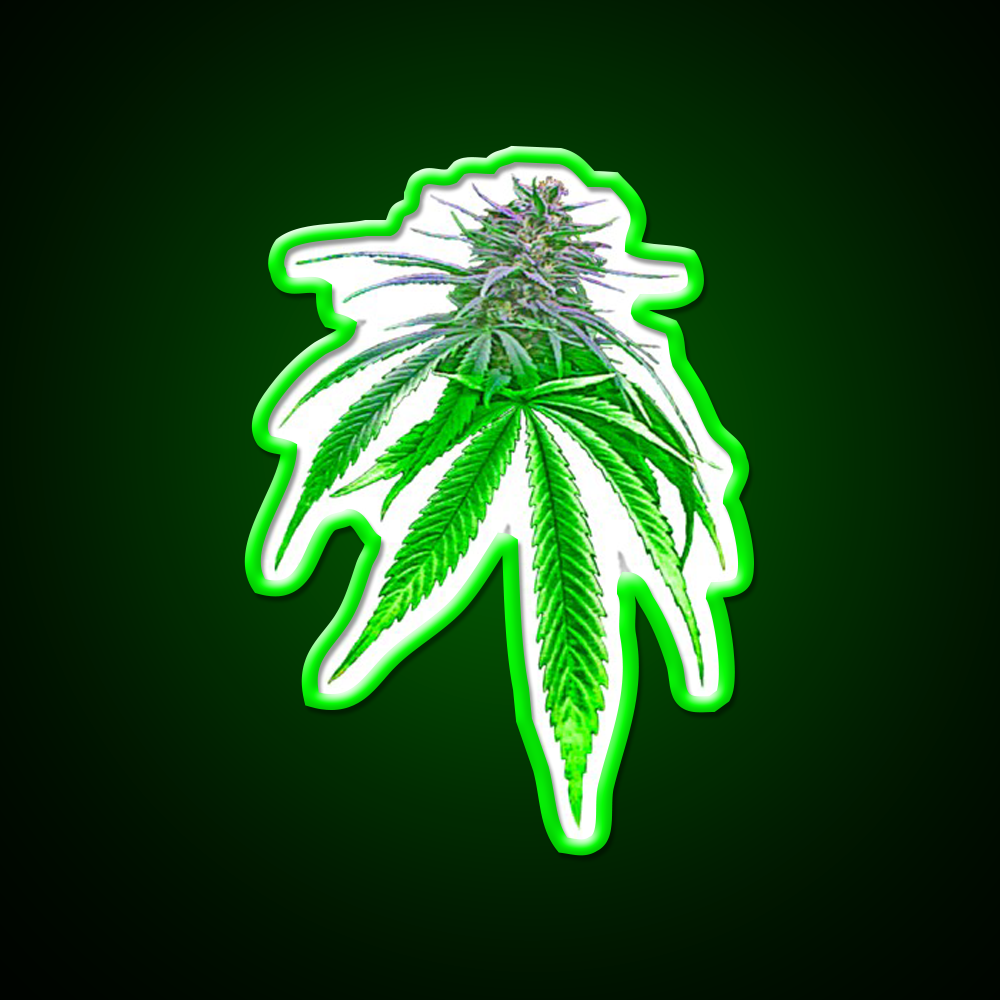 Dope Bud Hemp Inspired Green Leaf Led Neon Sign Rgb Color