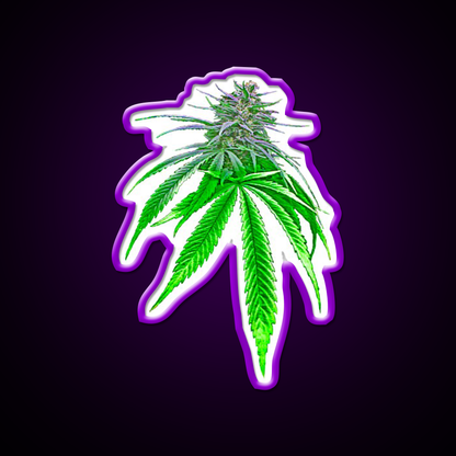 Dope Bud Hemp Inspired Green Leaf Led Neon Sign Rgb Color
