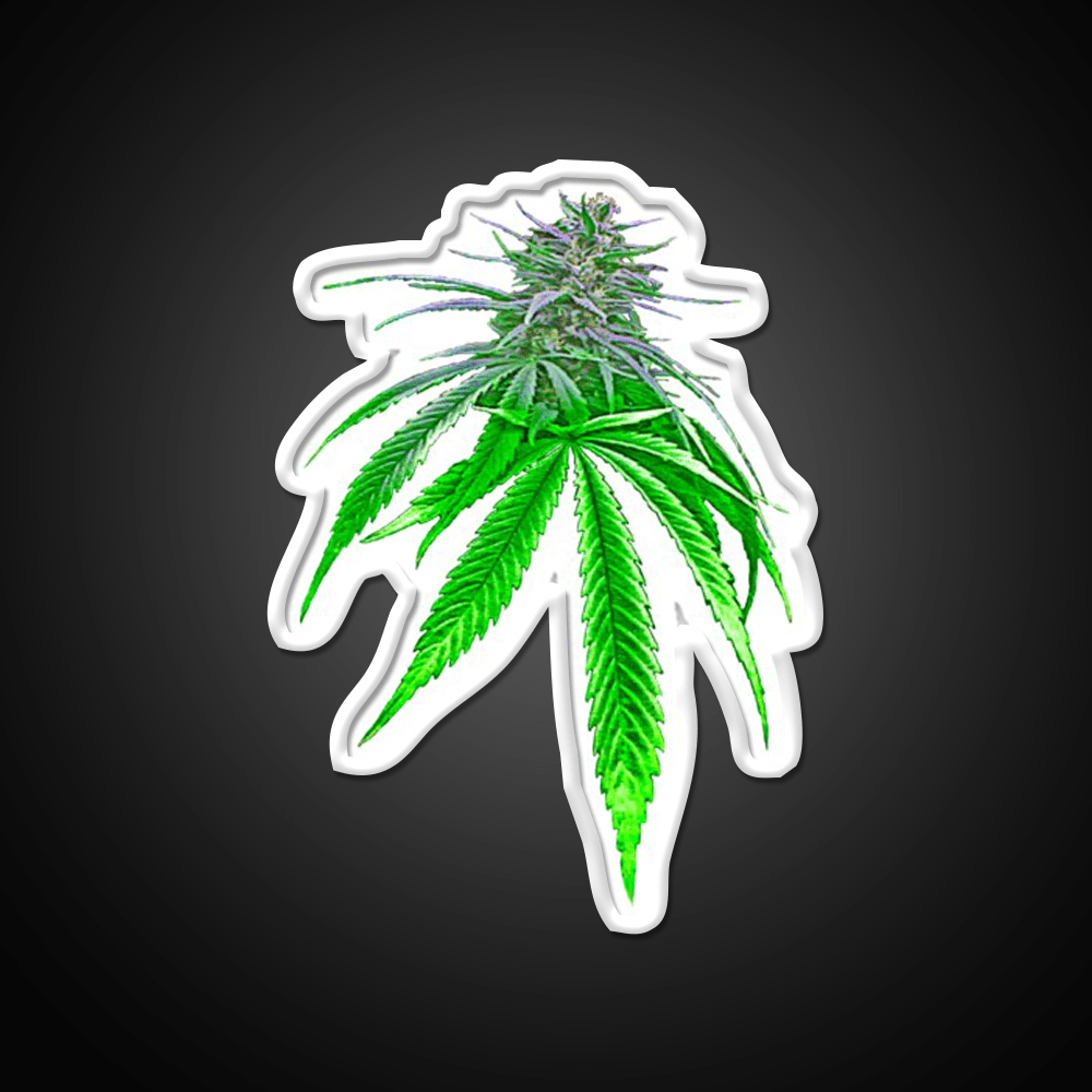 Dope Bud Hemp Inspired Green Leaf Led Neon Sign Rgb Color - Shineneon