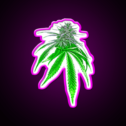 Dope Bud Hemp Inspired Green Leaf Led Neon Sign Rgb Color - Shineneon