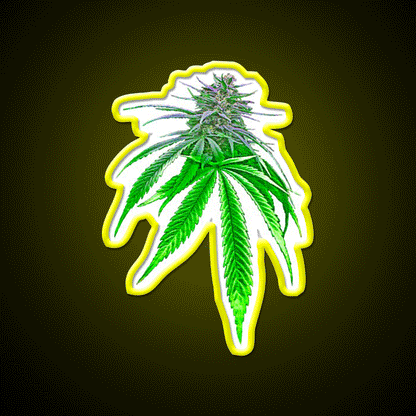 Dope Bud Hemp Inspired Green Leaf Led Neon Sign Rgb Color