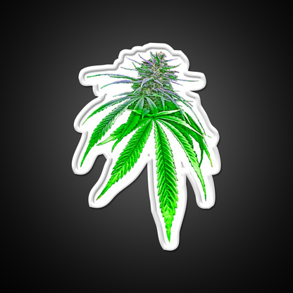 Dope Bud Hemp Inspired Green Leaf Led Neon Sign Rgb Color