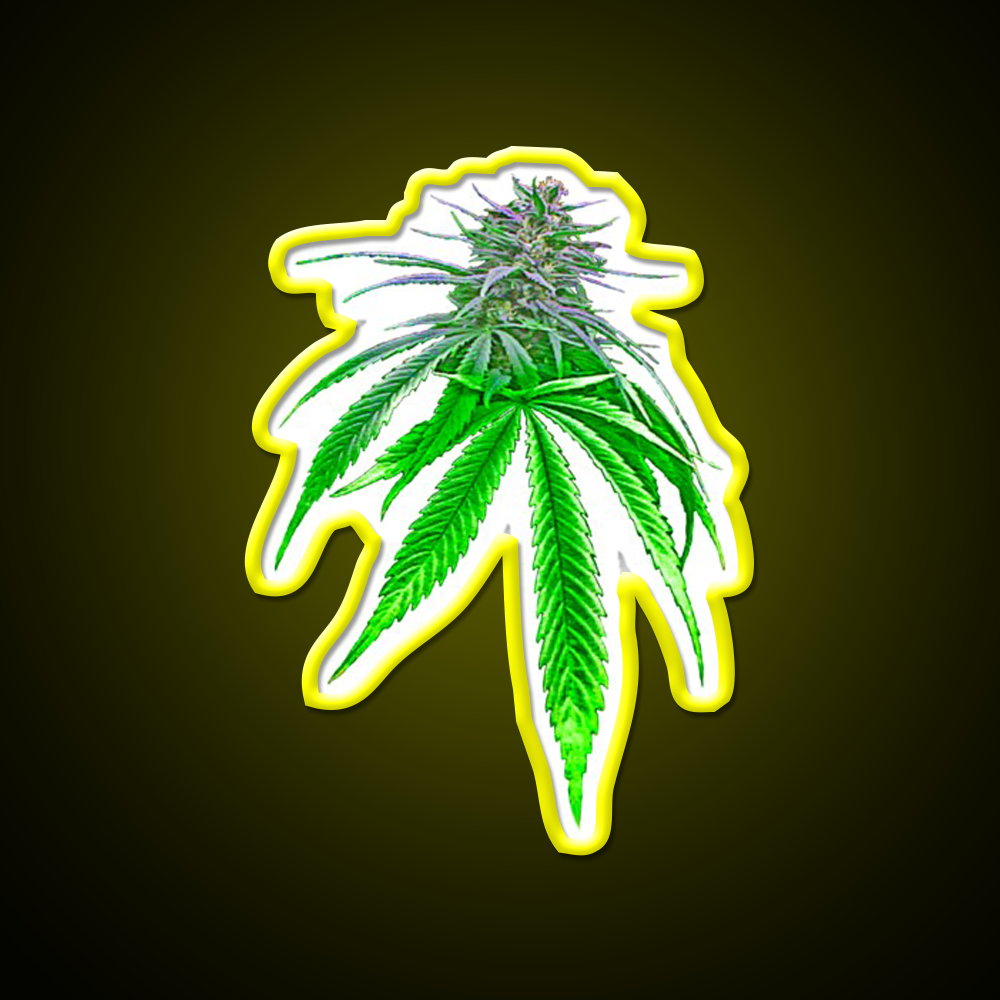 Dope Bud Hemp Inspired Green Leaf Led Neon Sign Rgb Color