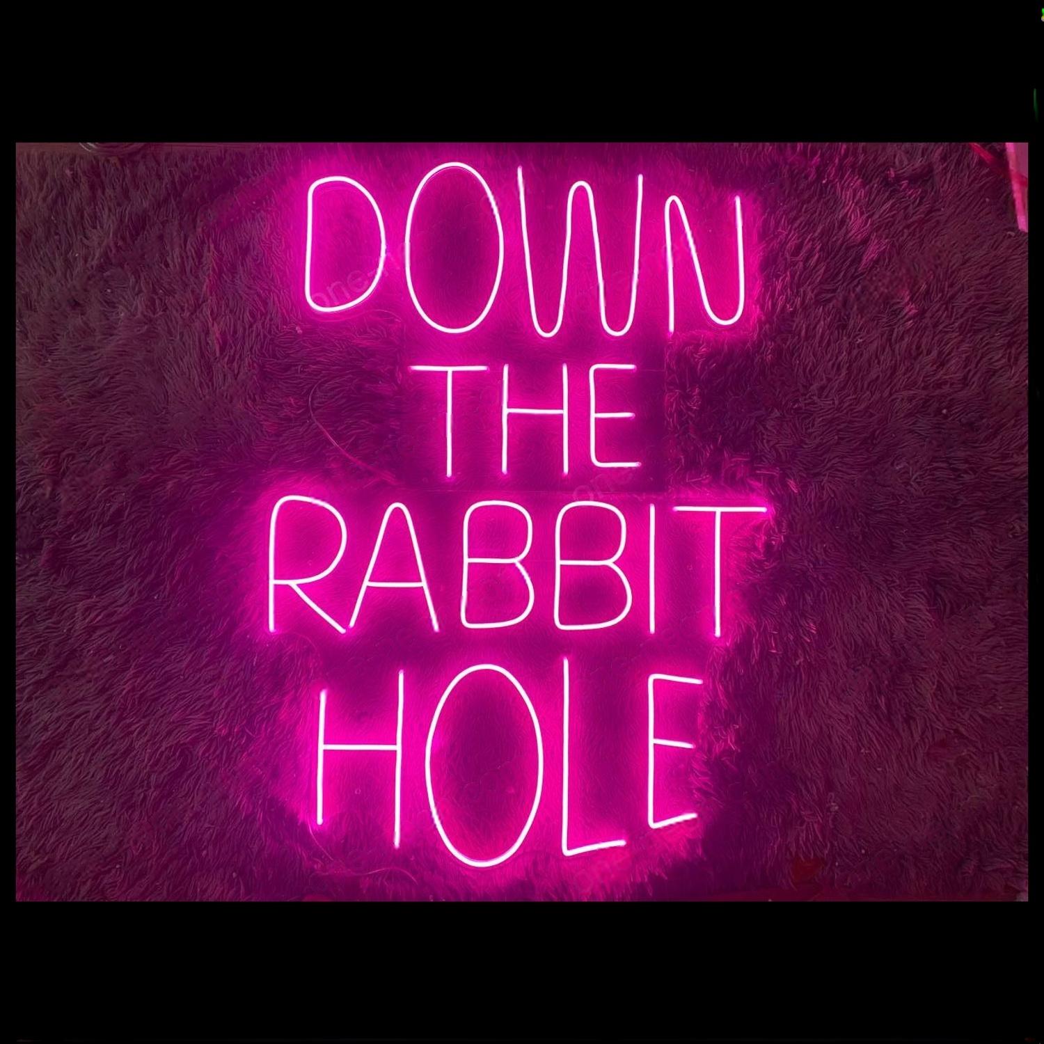 Down The Rabbit Hole Purple Led Neon Sign With Velvet Background For Bar Decor | Shineneon