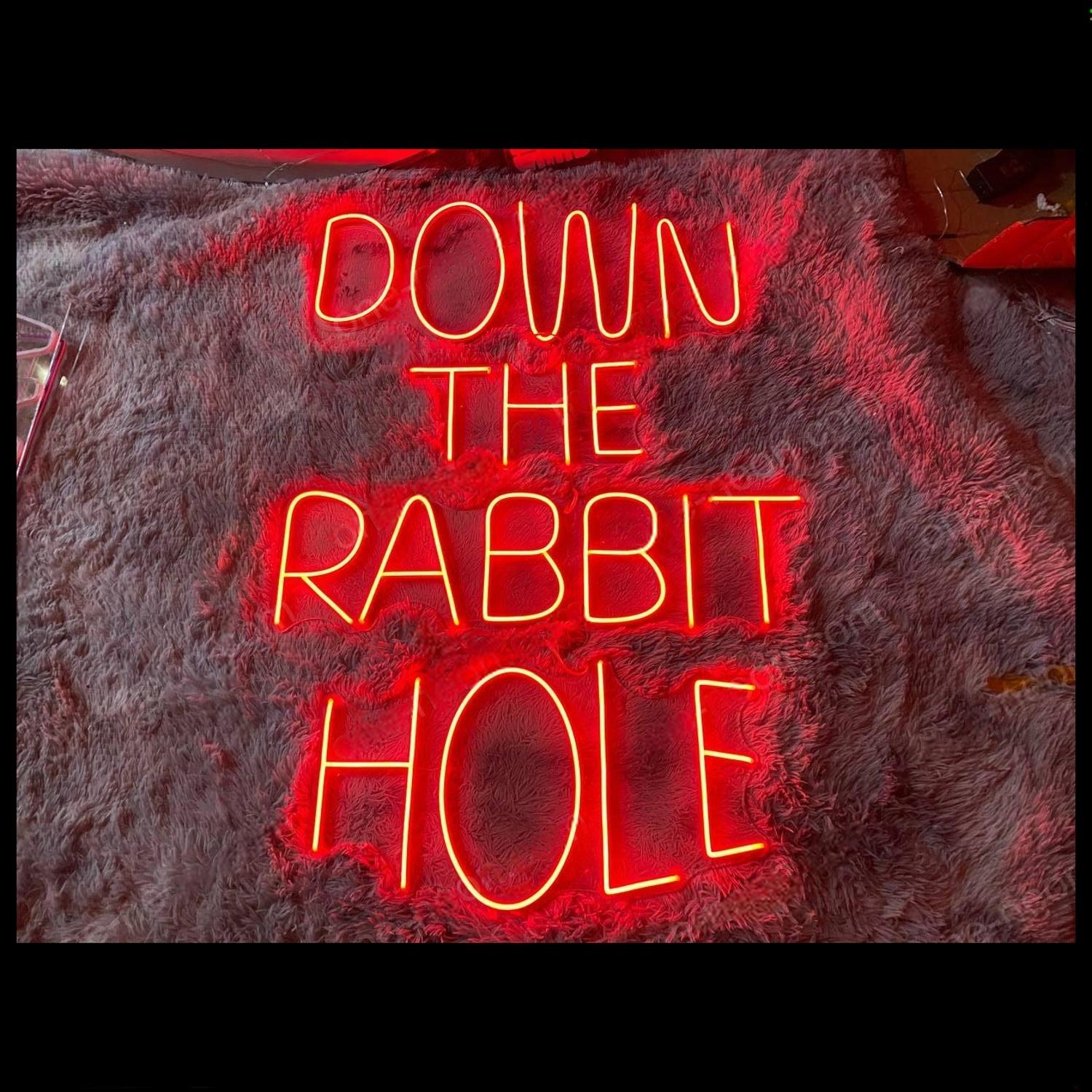 Down The Rabbit Hole Purple Led Neon Sign With Velvet Background For Bar Decor | Shineneon