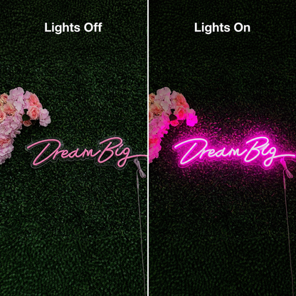 Dream Big Script LED Neon Sign - 06 Day Night Comparison