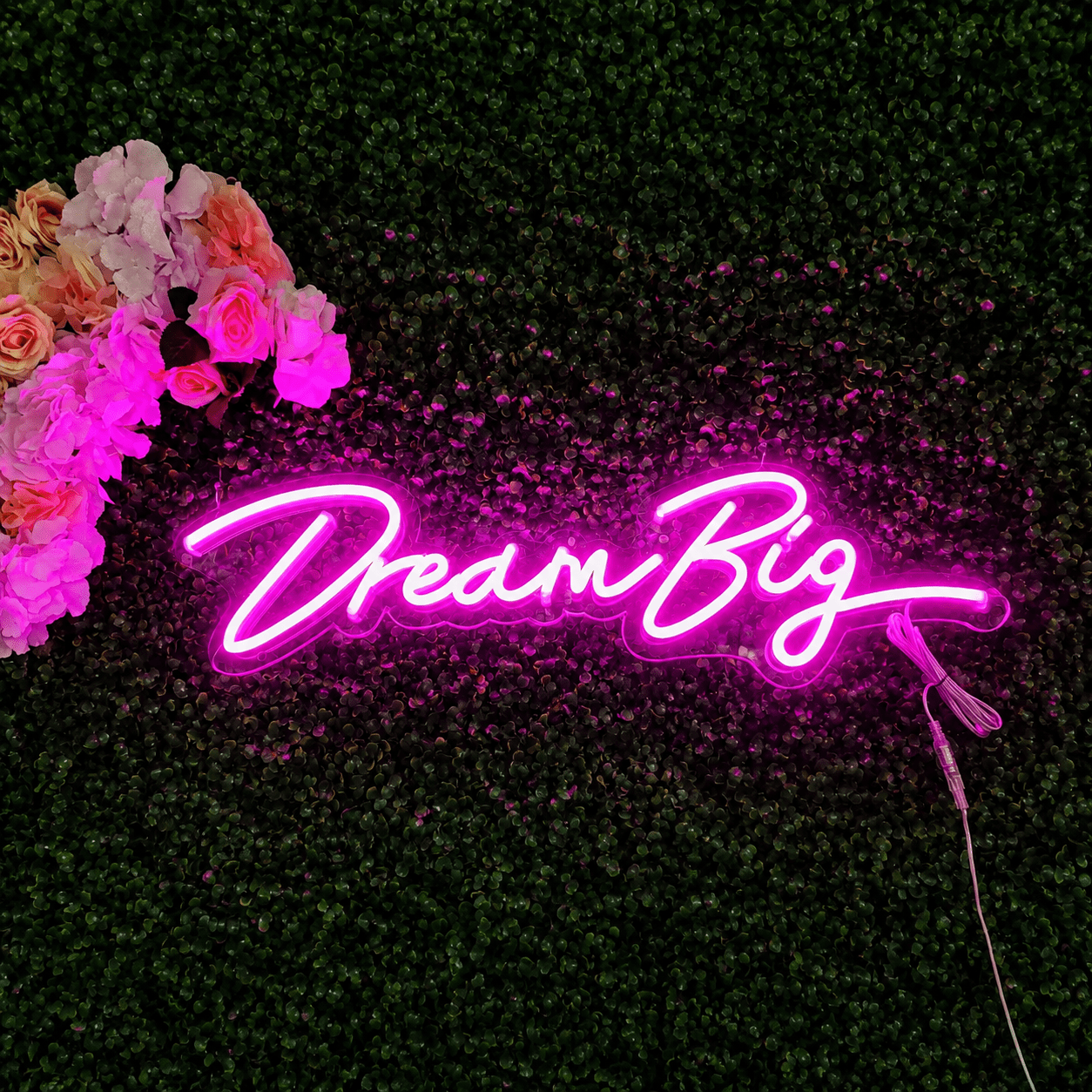 Dream Big Script LED Neon Sign - Shineneon
