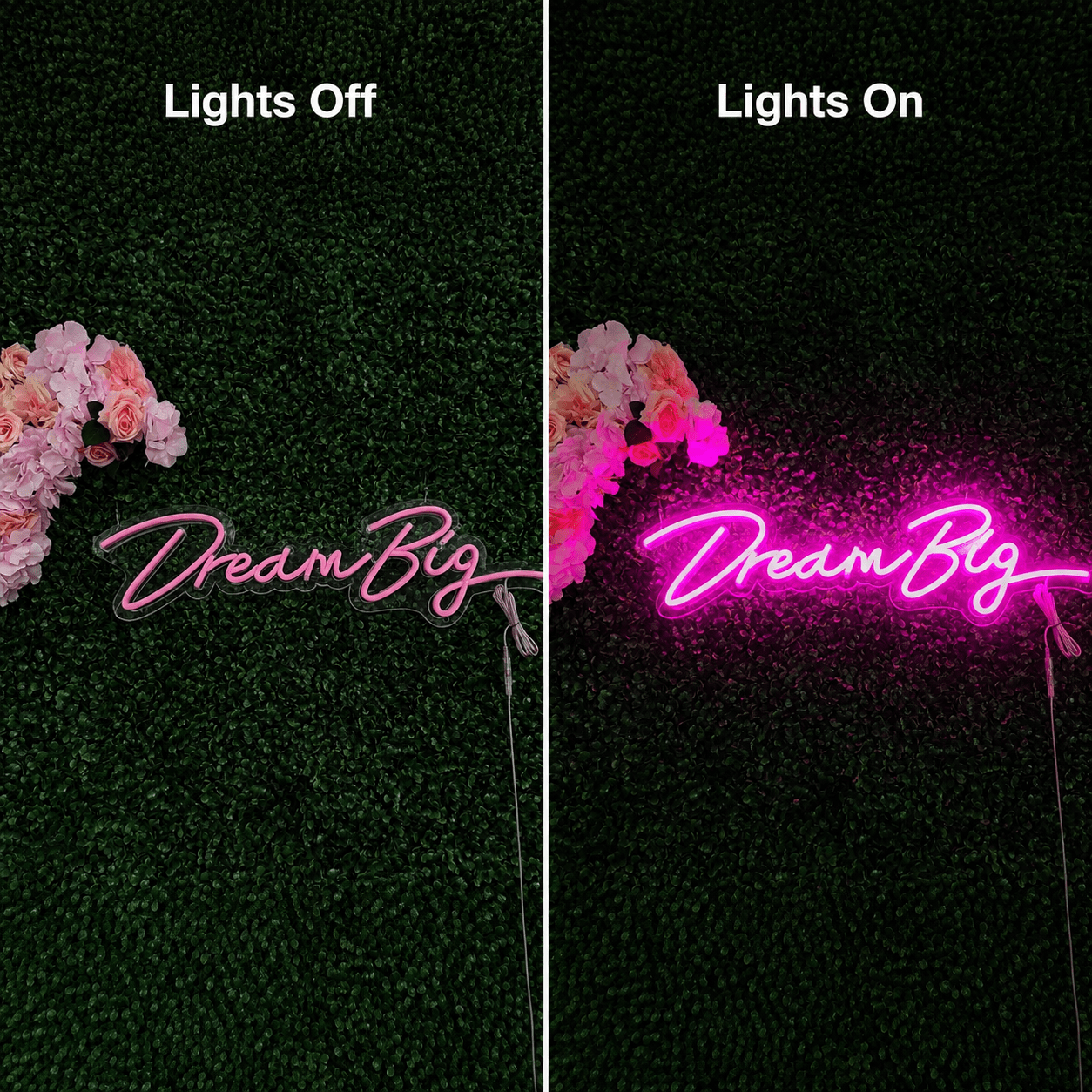 Dream Big Script LED Neon Sign - Shineneon