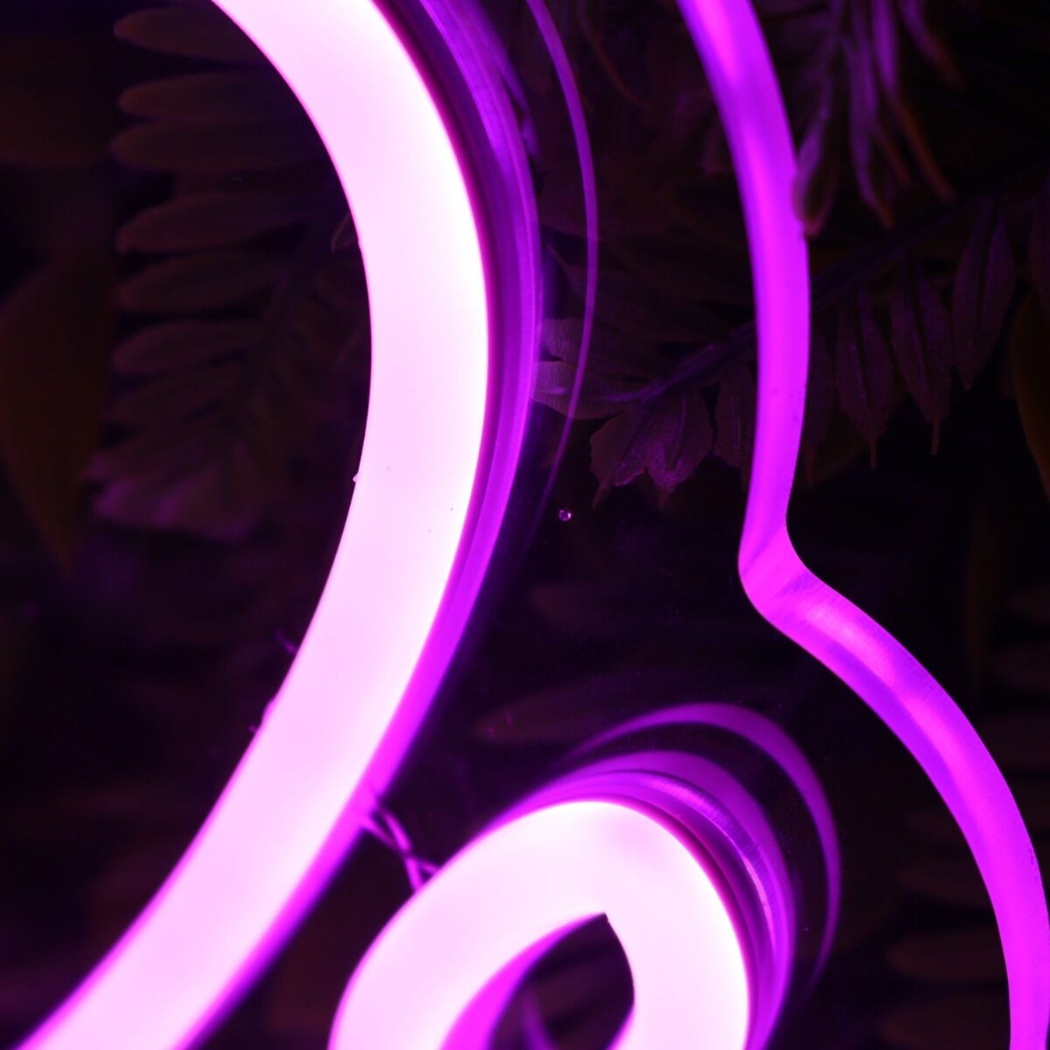 Dream House Purple Led Neon Sign - Shineneon