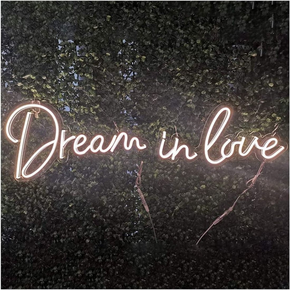 Dream In Love Led Sign Business Neon Signs - Shineneon